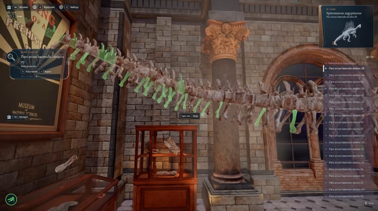 Spinosaurus aegyptiacus — full skeleton on the upstairs stand